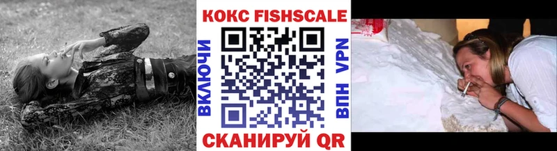 КОКАИН FishScale  hydra ссылки  Шарья  где купить наркоту 