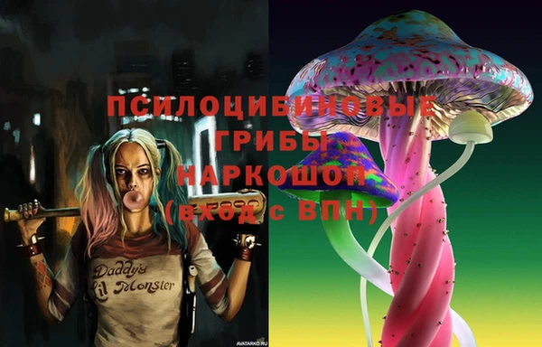 хмурый Абинск