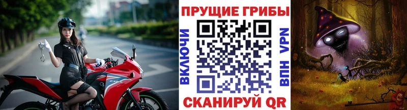 Галлюциногенные грибы GOLDEN TEACHER  OMG зеркало  Шарья  хочу  