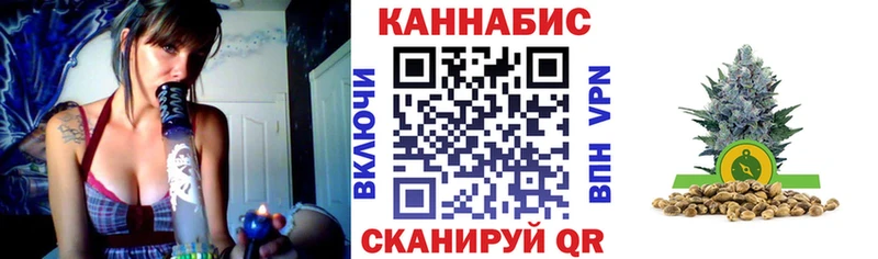сколько стоит  мориарти наркотические препараты  Каннабис семена  Шарья 